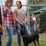 tag der offenen tuer2016 (64)