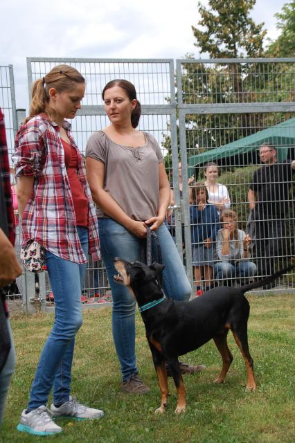 tag der offenen tuer2016 (64)