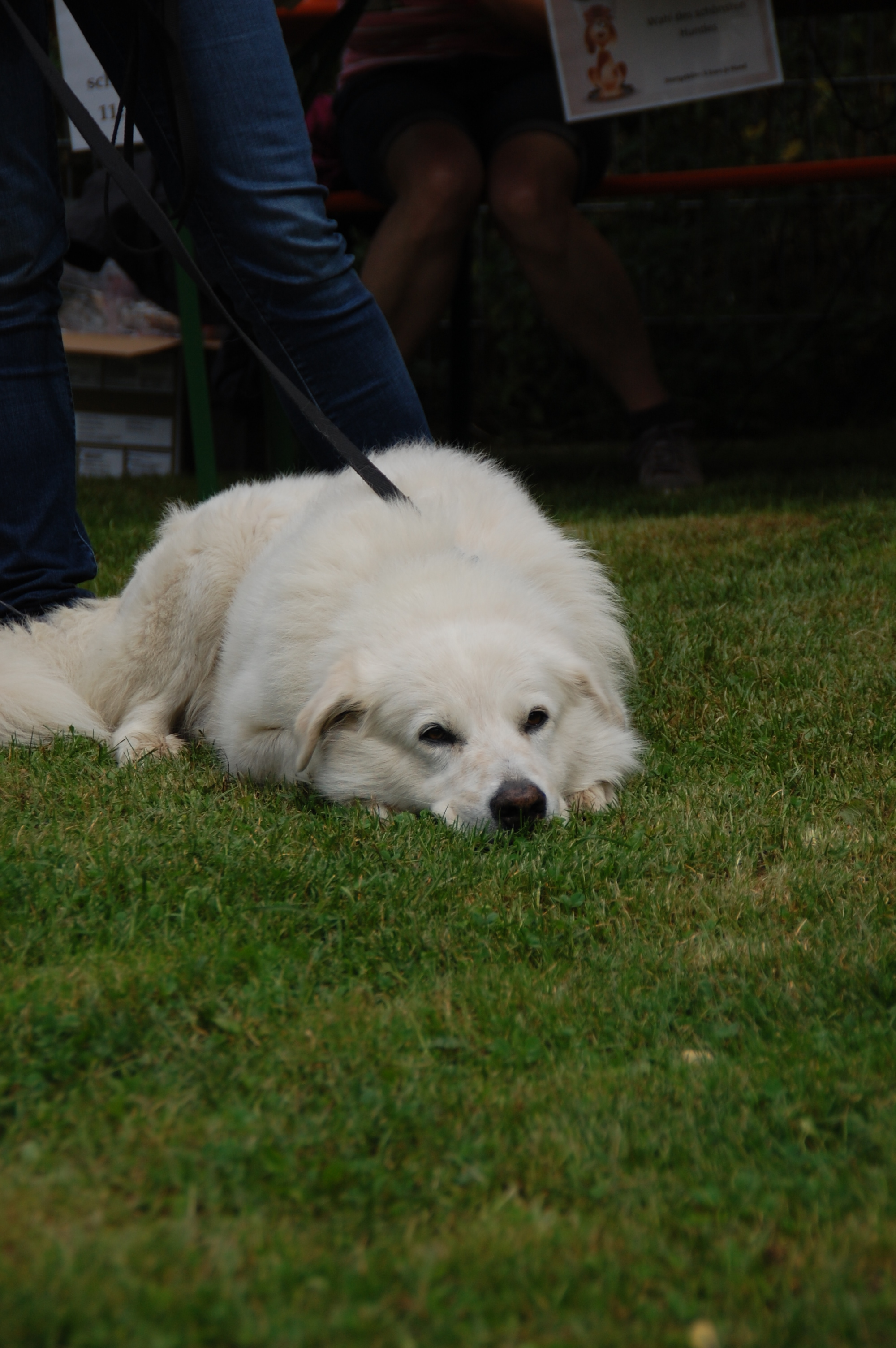 tag der offenen tuer2016 (65)