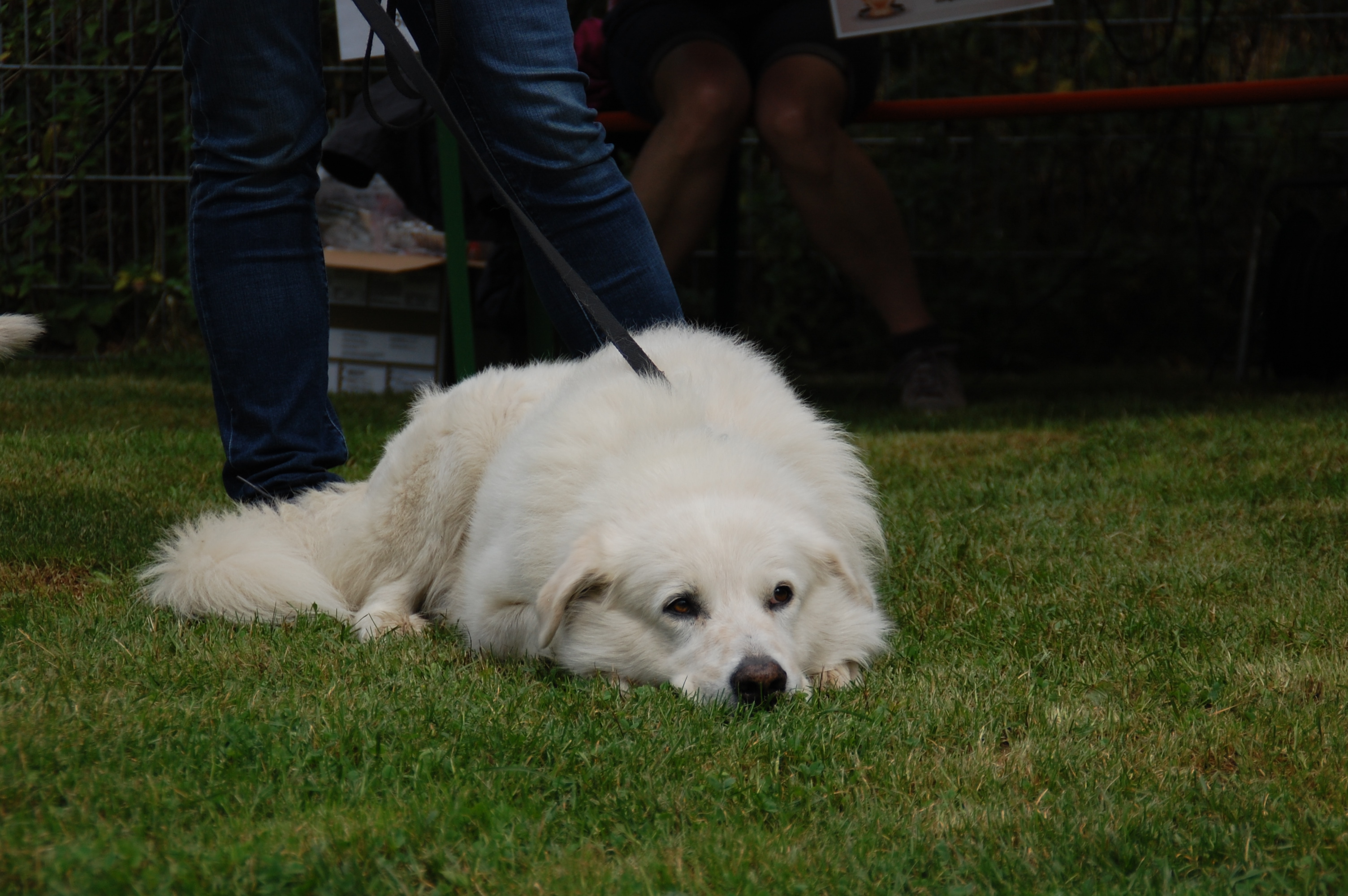 tag der offenen tuer2016 (66)