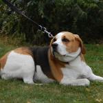 tag der offenen tuer2016 (7)