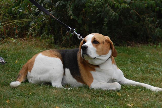 tag der offenen tuer2016 (7)