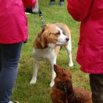 tag der offenen tuer2016 (70)