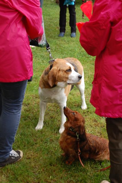 tag der offenen tuer2016 (70)