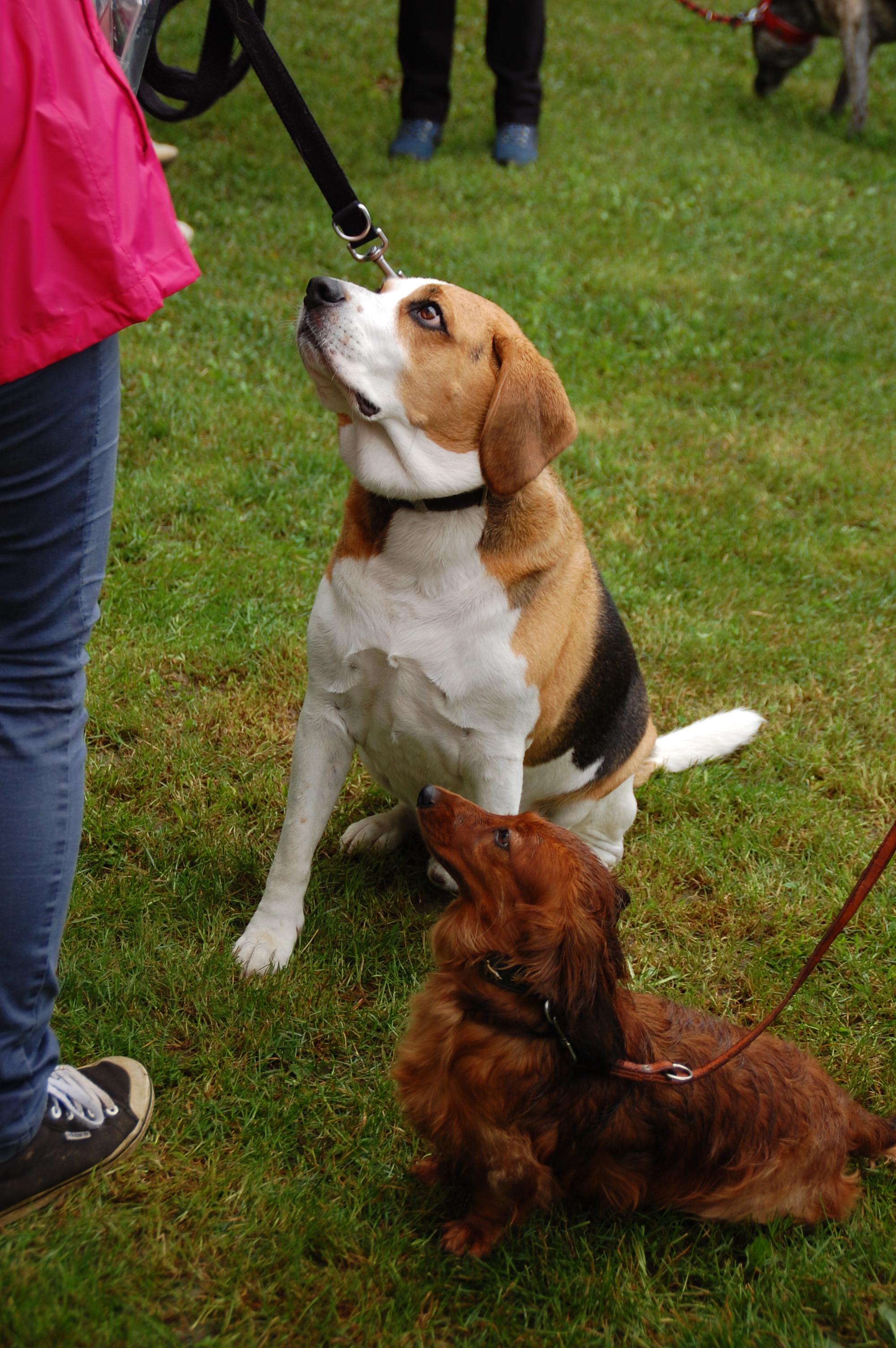 tag der offenen tuer2016 (71)