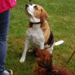 tag der offenen tuer2016 (71)