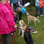 tag der offenen tuer2016 (72)