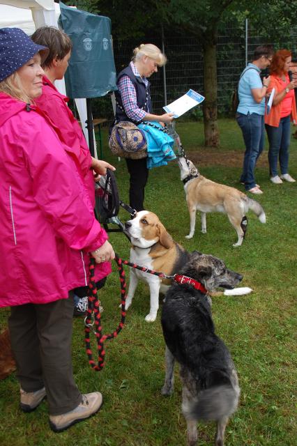 tag der offenen tuer2016 (72)