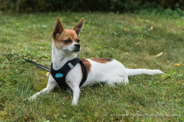 THWI_80D5226_04Sep2016