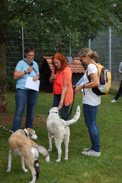 tag der offenen tuer2016 (73)