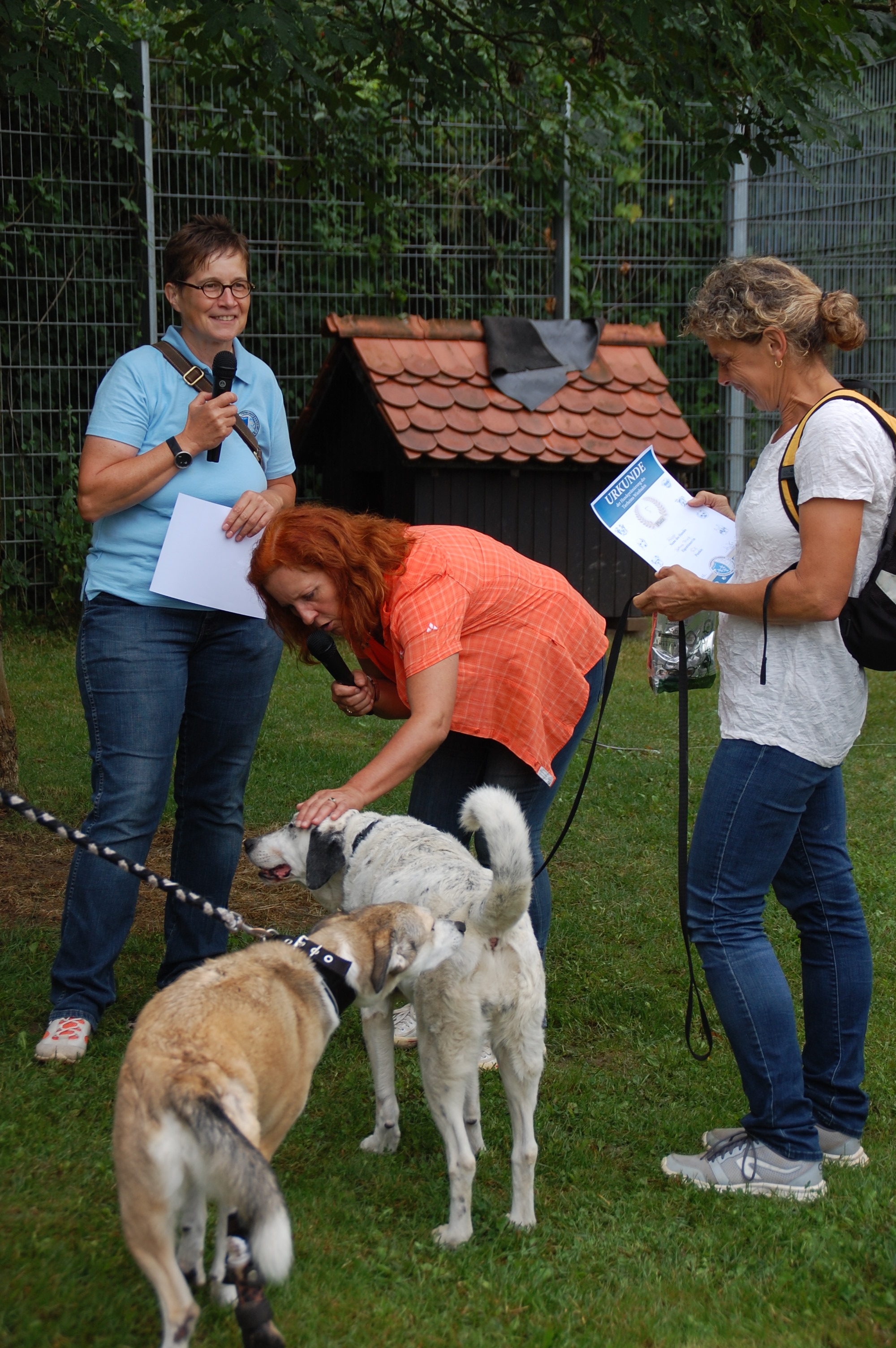 tag der offenen tuer2016 (74)