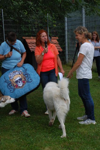 tag der offenen tuer2016 (76)