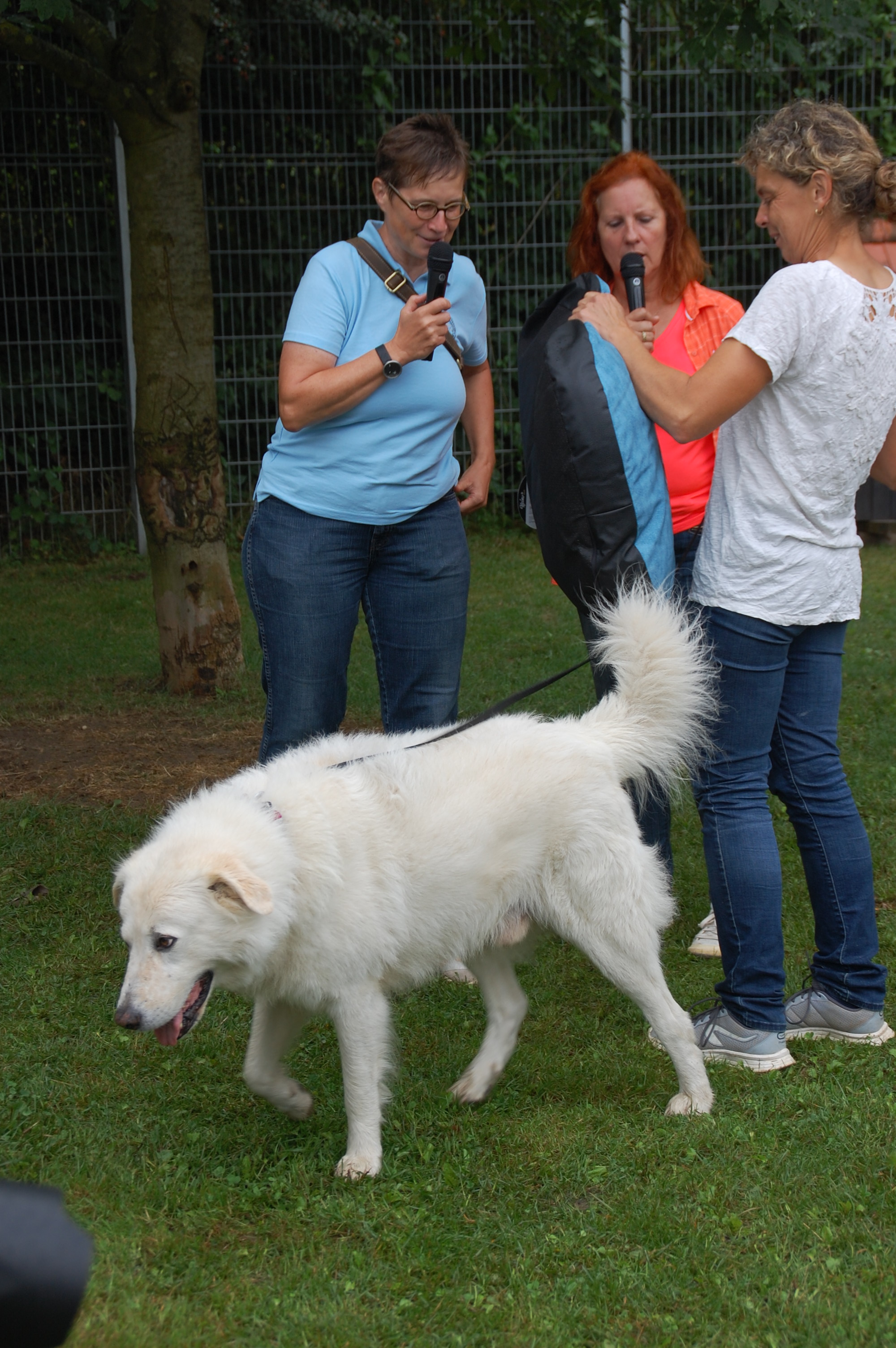 tag der offenen tuer2016 (77)