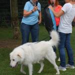 tag der offenen tuer2016 (77)