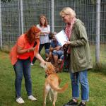 tag der offenen tuer2016 (78)