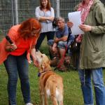 tag der offenen tuer2016 (79)