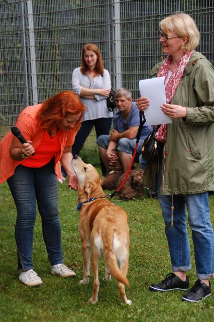 tag der offenen tuer2016 (79)