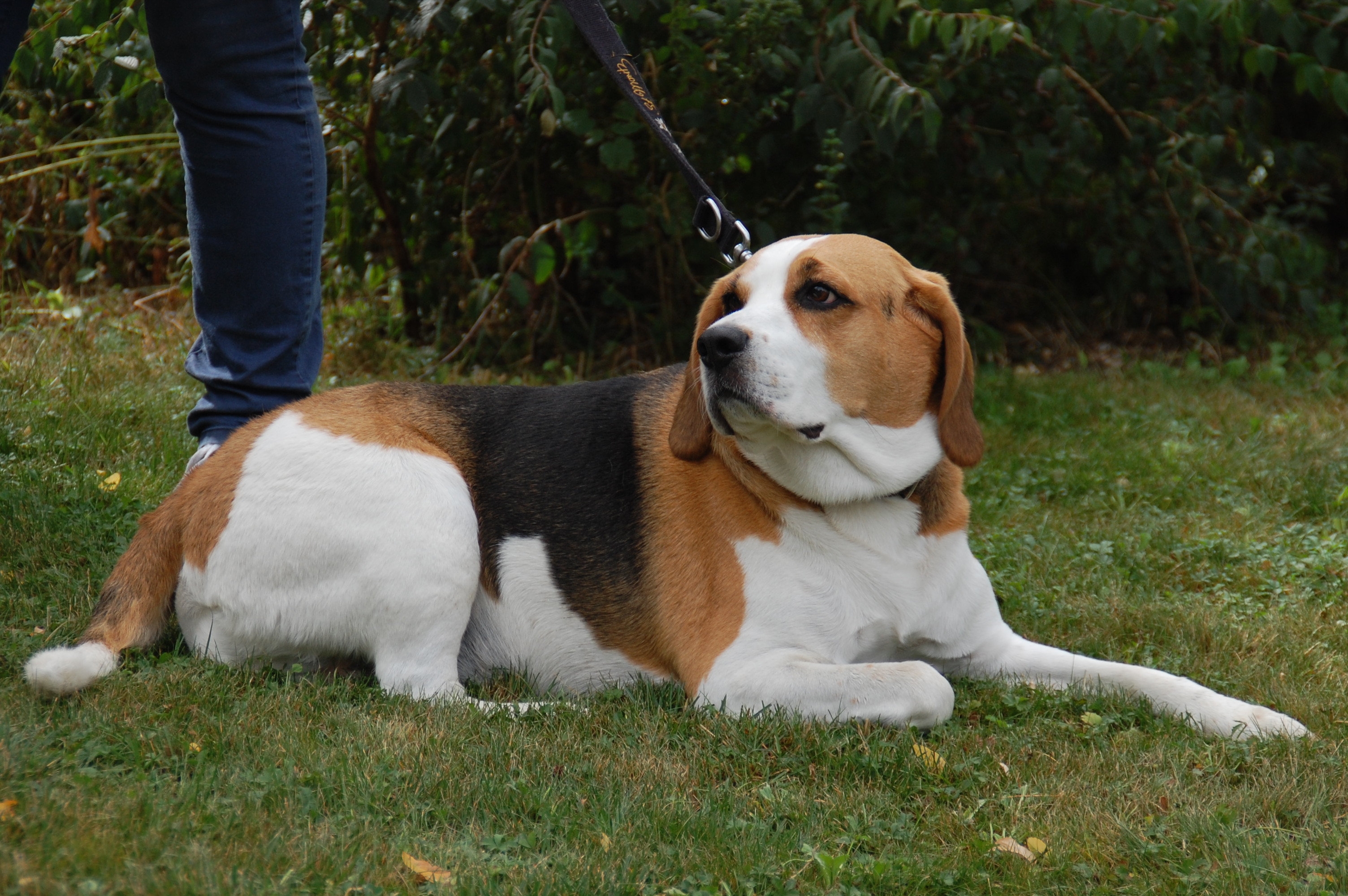 tag der offenen tuer2016 (8)