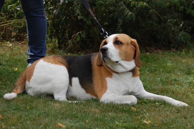 tag der offenen tuer2016 (8)