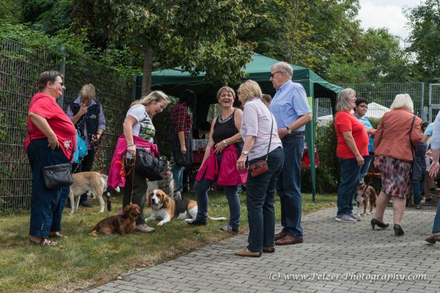 THWI_80D5229_04Sep2016