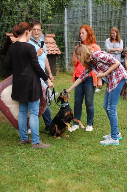 tag der offenen tuer2016 (87)