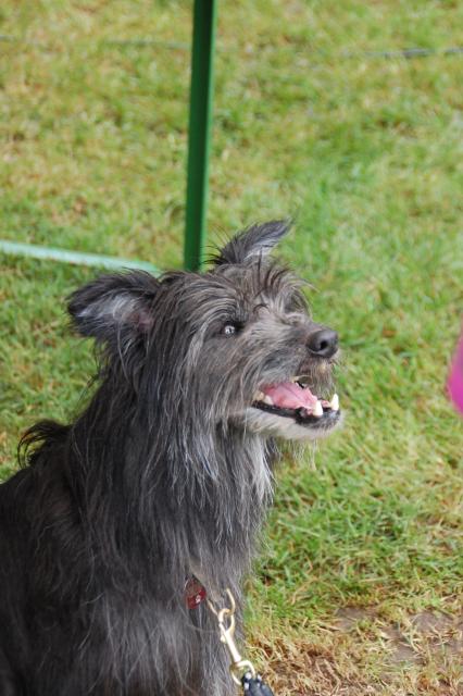 tag der offenen tuer2016 (88)