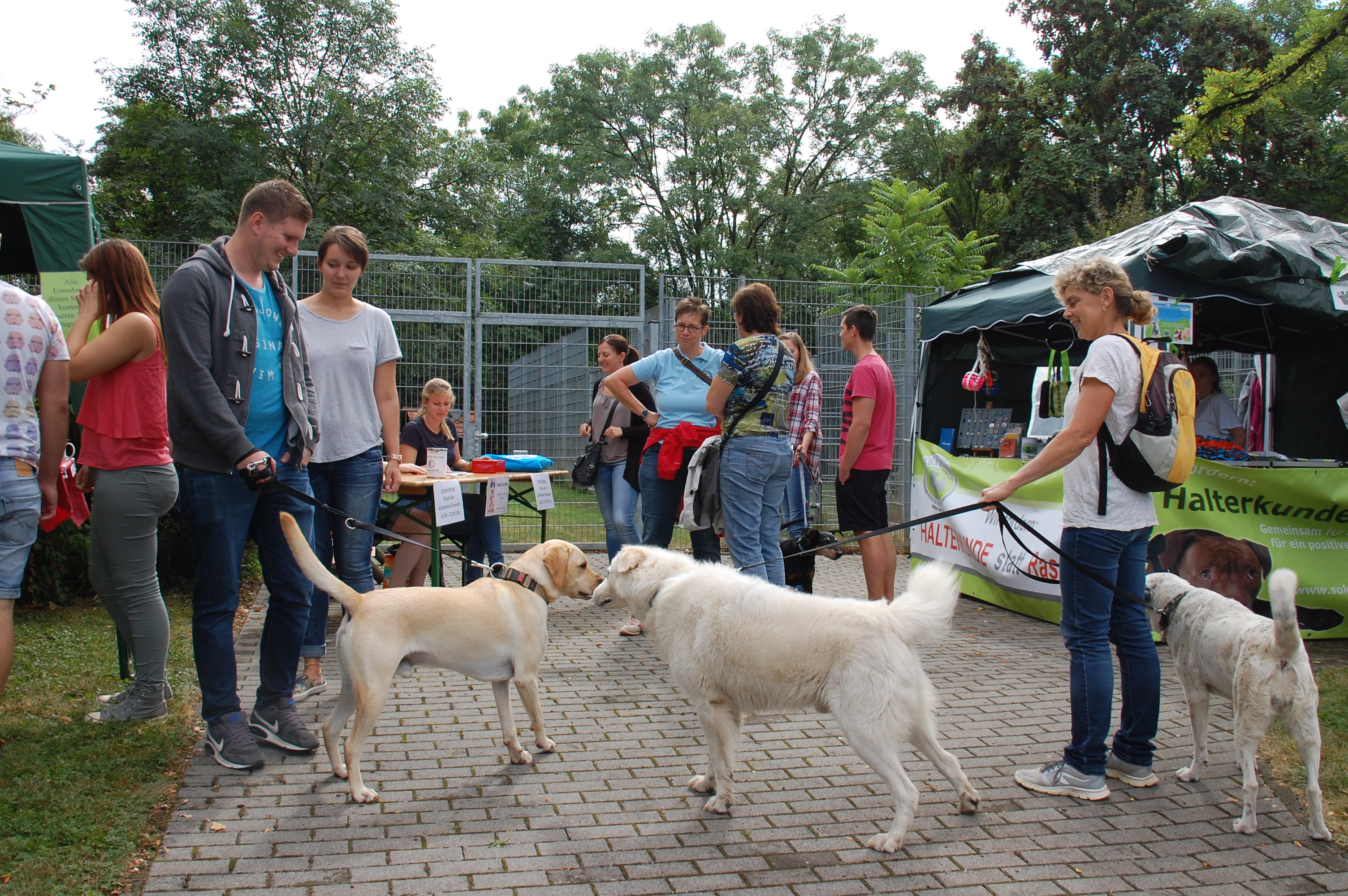 tag der offenen tuer2016 (9)