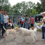 tag der offenen tuer2016 (9)