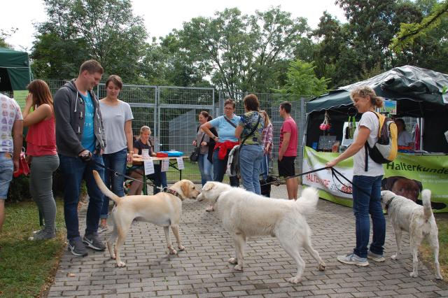 tag der offenen tuer2016 (9)