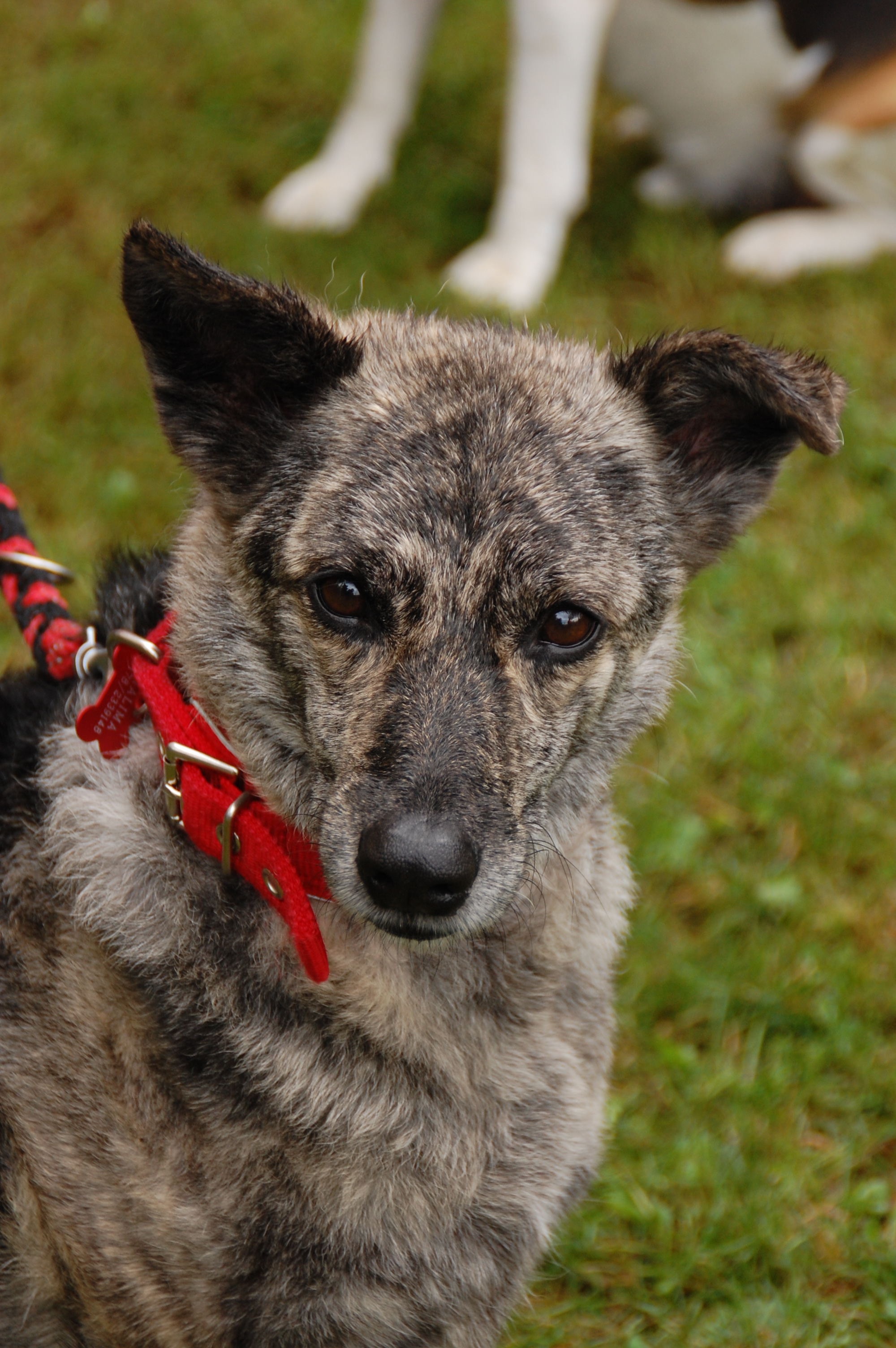 tag der offenen tuer2016 (90)