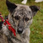 tag der offenen tuer2016 (90)