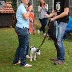 tag der offenen tuer2016 (91)