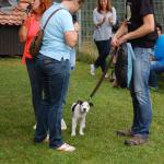 tag der offenen tuer2016 (92)