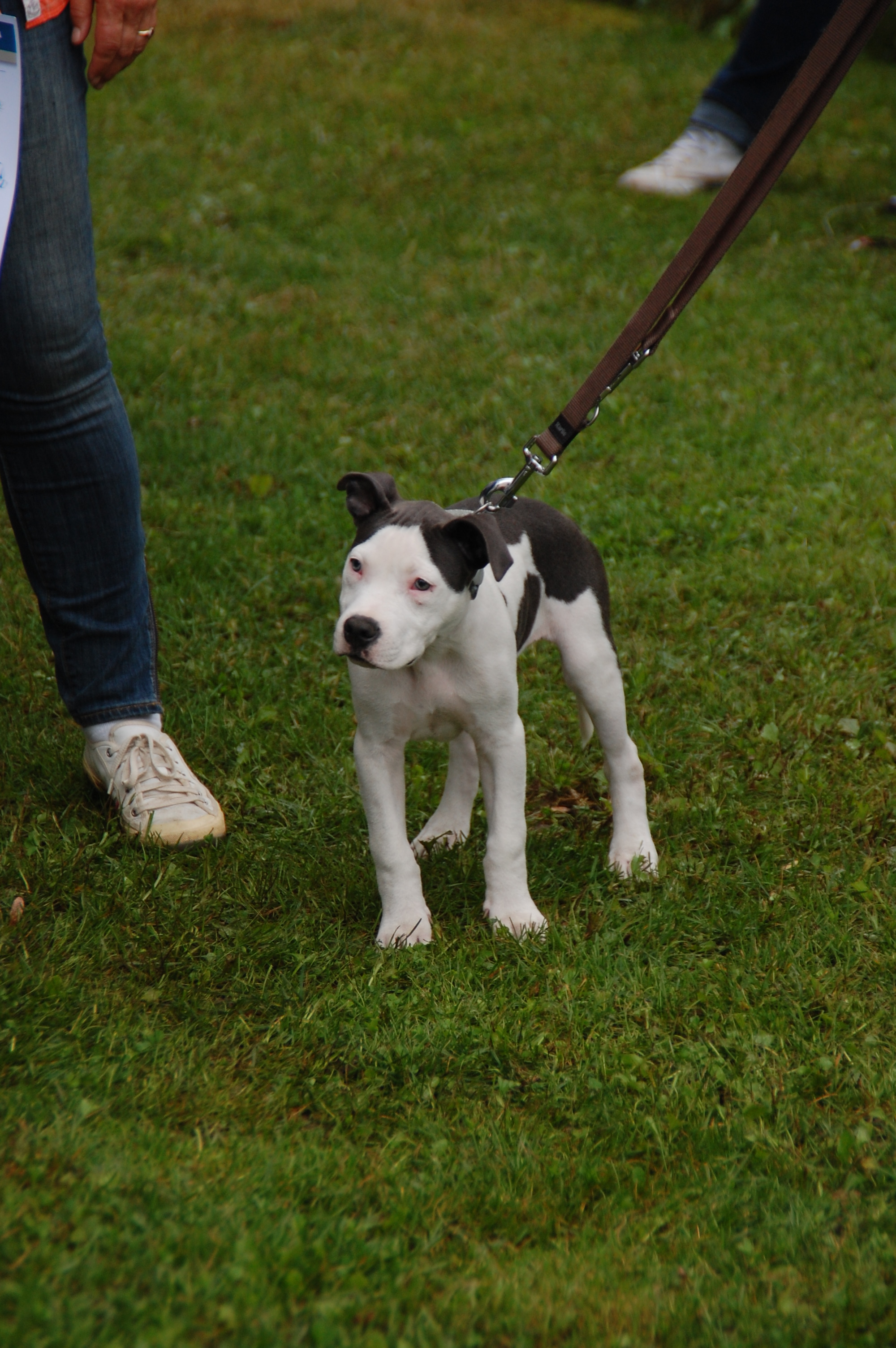 tag der offenen tuer2016 (93)