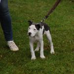 tag der offenen tuer2016 (93)