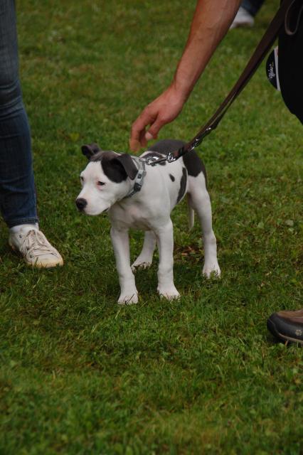 tag der offenen tuer2016 (94)