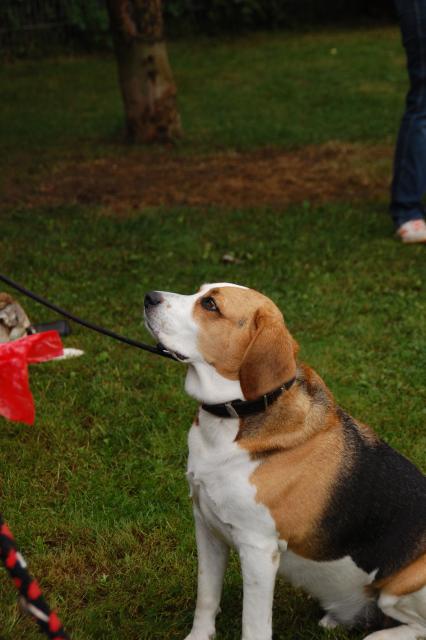 tag der offenen tuer2016 (98)