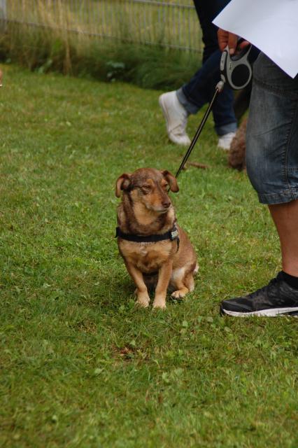 tag der offenen tuer2016 (99)