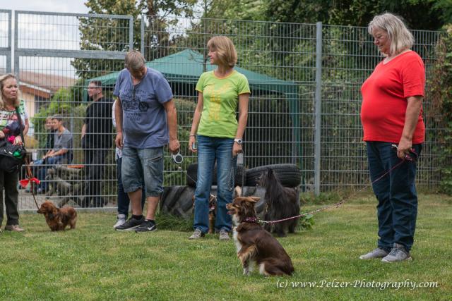 THWI_80D5234_04Sep2016